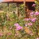 Happy bungalow & trekking, Banlung (fotografie 6)