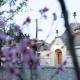 Trulli Magnolia, Putignano - Fotografie 4