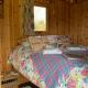 Willowdene shepherds hut, Oswestry - Fotografie 7