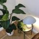 BnButler - Guercino, 8 - Renovated Design Apartment, Milán - Fotografie 10