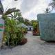 Jodels Paradise, Ligao (photo 7)