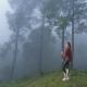 Cassia Resort, Kasauli, Kasauli - Fotografie 7