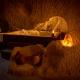 feris cave hotel