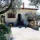 Marysa's house, Massa Lubrense (photo 10)
