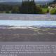 Rosenalm Scheidegg Apartment 256, Scheidegg - Foto 2