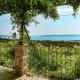 Stone house Angelo - Peace oasis with pool Kastel Luksic - Foto 6
