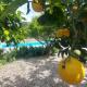 Villa Edna Crete, Ágios Nikólaos (fotografie 9)