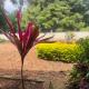 Nilgiri Comfort Stay, Coonoor - Fotografie 4