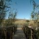 Stonehaven River Lodge, Stilbaai (foto 3)