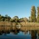 Stonehaven River Lodge, Stilbaai (foto 6)