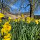 Plumber Manor Hotel, Sturminster Newton (fotografie 2)