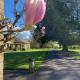 Plumber Manor Hotel, Sturminster Newton (fotografie 3)