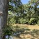 Lambert Park on Medina River Bandera - Fotografie 10
