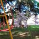 VILLA AFRICA, Castejón (photo 10)