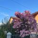 Apartman- Sarajevo, Sarajevo (foto 3)
