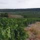 La Longère de Vin'Ay, Vinay (fotografie 9)