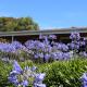 Kermandie Hotel, Port Huon (foto 3)