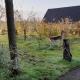 B&B Landgoed Sonneborghe, Kollumerzwaag (fotografie 4)