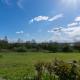 Orchard Cottage, Sutton Valence (foto 4)