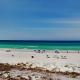 Edgewater Leeward #206 Panama City Beach - Fotografie 9