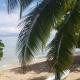 Puna Home
