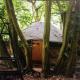 Magical Forest yurt Sturry - Фото 3
