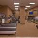 Hyatt Regency Lisle near Naperville, Lisle - Fotografie 3