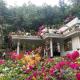 Moon moon Garden, Thamarassery (fotografie 5)
