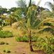 Nathylodge, Bocas del Toro - Fotografie 4
