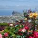 La Pergola Ischia - Photo 4