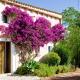 Casa Francisca, Son Macia (fotografie 3)