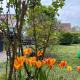 FeWo Michistrasse, フォルヒハイム - 写真 7