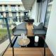 Bridge Apartment & Spa, Dziwnów