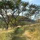 Hope Haven Cottage, Nelspruit (foto 9)