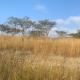 Hope Haven Cottage, Nelspruit (foto 7)