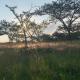 Hope Haven Cottage, Nelspruit (foto 4)