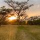 Hope Haven Cottage, Nelspruit (foto 3)