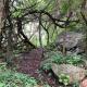 Hope Haven Cottage, Nelspruit (foto 2)