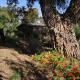 Casa do Sobreiro 2, Serra das Alhadas (fotografie 9)