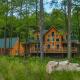 Big Log Lodge McHenry - Fotografie 2