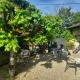 Avol d'oiseau, Villers-Farlay (Foto 4)