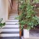 Nary Apartment, Siem Reap (foto 3)