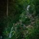 Cabañas Cascada del Barro, Guajuquito (foto 4)
