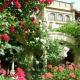 Hotel Bow Garden, Komárno (zdjęcie 3)