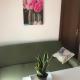 FOSCOLO Sunset House, Lido di Jesolo (photo 5)