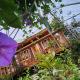 Cabaña el Faisán, Jardín de Dota