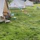 Willow glamping Norwich - Fotografie 6