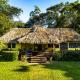 Tanager RainForest Lodge