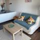 Azul apartment with sea view, Morro del Jable (fotografie 10)