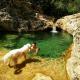 Cal Perdigués de Boada pet friendly, Boada (Foto 3)
